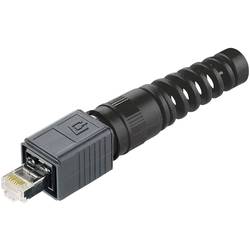 Telegärtner 100007466, 100007466, RJ45 konektor, RJ45, CAT 6, 1 ks