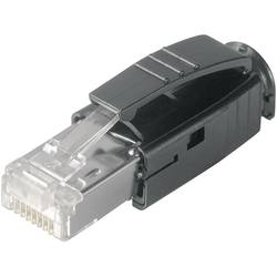 Telegärtner 100007451 STX konektor RJ45 100007451 zástrčka, rovná počet pólů: 8P8C čiré sklo 1 ks