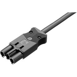 Adels-Contact AC 166 ALCGS/315 100 síťový připojovací kabel síťová zástrčka - kabel s otevřenými konci Počet kontaktů: 2 + PE bílá 1 ks Single