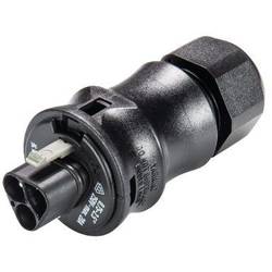 Wieland Electric 96.032.0053.1 kulatý faston, 1 ks