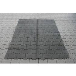 IWH 78409 koberec proti kunám, 1 ks