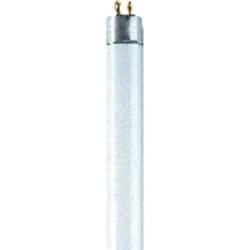 OSRAM zářivková trubice Energetická třída (EEK2021): G (A - G) G13 36 W studená bílá 840 zářivkový tvar (Ø x d) 26 mm x 1213.6 mm 1 ks