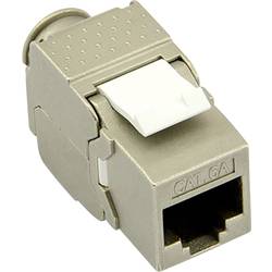 Value RJ45 vestavný modul Keystone CAT 6A 1 ks