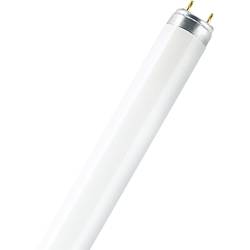 OSRAM zářivková trubice Energetická třída (EEK2021): G (A - G) G13 58 W teplá bílá zářivkový tvar (Ø x d) 26 mm x 1500 mm 1 ks