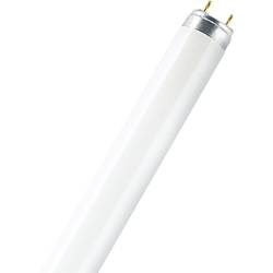 OSRAM zářivková trubice Energetická třída (EEK2021): G (A - G) G13 18 W teplá bílá zářivkový tvar (Ø x d) 26 mm x 604 mm 1 ks