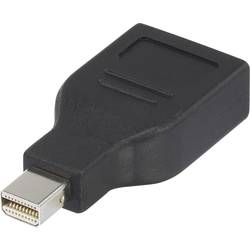 Renkforce RF-4174572 DisplayPort adaptér [1x mini DisplayPort zástrčka - 1x zásuvka DisplayPort] černá pozlacené kontakty