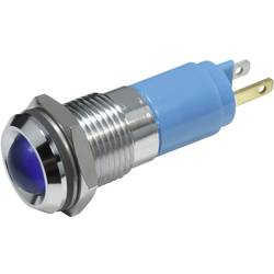 CML 19350237 indikační LED modrá 230 V/AC 98 mcd