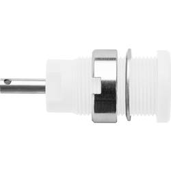 Schützinger DI SEB 6525 Ni / WS bezpečnostní vestavná zásuvka 4 mm bílá 1 ks