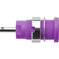 Schützinger DI SEB 6525 Ni / PVI bezpečnostní vestavná zásuvka 4 mm fialová 1 ks