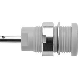 Schützinger DI SEB 6525 Ni / GR bezpečnostní vestavná zásuvka 4 mm šedá 1 ks
