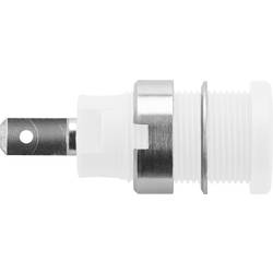 Schützinger DI SEB 6450 Ni / WS bezpečnostní vestavná zásuvka 4 mm bílá 1 ks