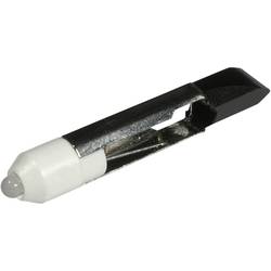 CML Innovative Technologies 1507535W3D indikační LED studená bílá T 6.8 24 V/DC, 24 V/AC 900 mcd