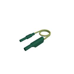 SKS Hirschmann MAL S WS-B 200/2,5 gelb/grün bezpečnostní měřicí kabely [lamelová zástrčka 4 mm - lamelová zástrčka 4 mm] 200 cm, žlutozelená, 1 ks