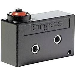 Burgess V9NLR1H mikrospínač V9NLR1H 250 V/AC 10 A 1x zap/(zap) IP67 bez aretace 1 ks