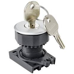 TRU COMPONENTS TC-10343992 S3KF-2DS uzamykatelný spínač - čelní prvek simulované kolečko stříbrná 1 x 90 ° 1 ks