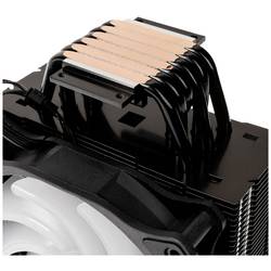 Raijintek ELEOS 12 EVO RBW chladič procesoru s větrákem AMD AM5, AMD AM4, Intel® 1700, Intel® 1150, Intel® 1151, Intel® 1151v2, Intel® 1155, Intel® 1156,