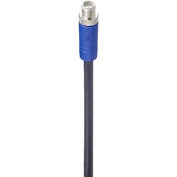 Belden 934851077-1 připojovací kabel pro senzory - aktory M12 zástrčka, rovná 10.00 m Počet pólů: 5 1 ks