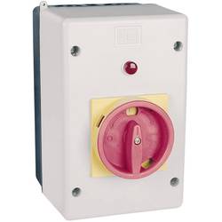 WEG MPE55G, MPE55G instalační rozvodnice, IP55, 1 ks