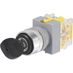 TRU COMPONENTS Y090-A-20Y/31 klíčový spínač 250 V/AC 5 A 1x zap/vyp/zap 2 x 45 ° IP40 1 ks