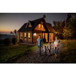 LEDVANCE FL Essential 4099854094545 LED reflektor 20 W Barvy světla (LED svítidlo): studená bílá