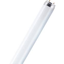 Zářivka Osram, 36 W, G13