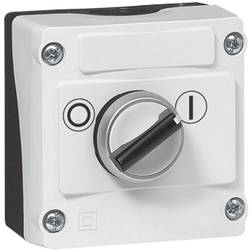 BACO 224216 LBX12510 otočný spínač v pouzdře černá, šedá otočení 1 ks