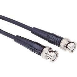 Testec 81011 BNC měřicí kabel 0.50 m černá