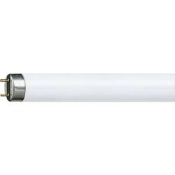 Philips Lighting zářivková trubice Energetická třída (EEK2021): G (A - G) G13 58.5 W studená bílá zářivkový tvar (Ø x d) 28 mm x 1514.2 mm stmívatelná 1 ks