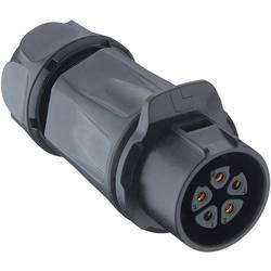 Lutronic 2640 02 T12 CB A kulatý konektor DIN, 1 ks