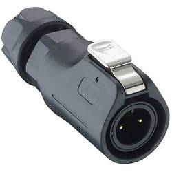 Lutronic 0250 03 kulatý konektor DIN, 1 ks