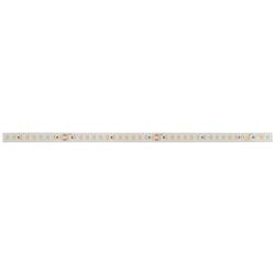 Deko Light Long Run 840401 LED pásek Energetická třída (EEK2021): F (A - G) volný konec 48 V 50 m teplá bílá 1 ks