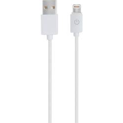 RealPower USB kabel USB 2.0 USB-A zástrčka, Apple Lightning konektor 1.00 m bílá 255649