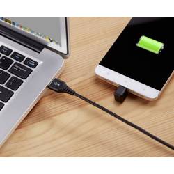 Renkforce USB kabel USB 2.0 USB-C ® zástrčka, USB-A zástrčka 1.00 m černá RF-4609276