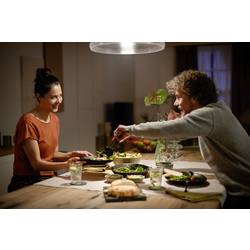 Philips Hue LED žárovka 871951434332000 Energetická třída (EEK2021): F (A - G) Hue White E27 Einzelpack 1100lm 100W E27 15.5 W teplá bílá Energetická třída