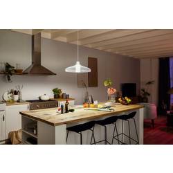 Philips Hue LED žárovka 871951434332000 Energetická třída (EEK2021): F (A - G) Hue White Einzelpack 1100lm 100W E27 15.5 W teplá bílá