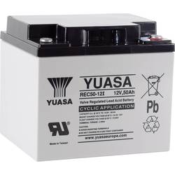 Yuasa REC50-12 YUAREC5012 olověný akumulátor 12 V 50 Ah olověný se skelným rounem (š x v x h) 197 x 175 x 165 mm šroubované M5 nepatrné vybíjení, nenáročné na