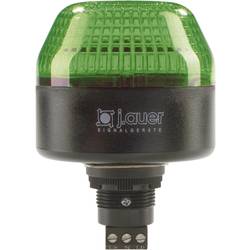 Auer Signalgeräte signální osvětlení LED IBL 802506313 zelená trvalé světlo, blikající světlo 230 V/AC