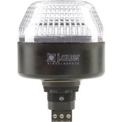 Auer Signalgeräte signální osvětlení LED IBL 802504405 čirá trvalé světlo, blikající světlo 24 V/DC, 24 V/AC