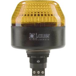 Auer Signalgeräte signální osvětlení LED IBL 802501405 oranžová trvalé světlo, blikající světlo 24 V/DC, 24 V/AC