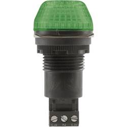 Auer Signalgeräte signální osvětlení LED IBS 800506404 zelená zelená trvalé světlo, blikající světlo 12 V/DC, 12 V/AC