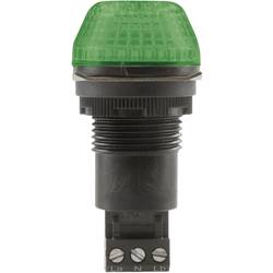 Auer Signalgeräte signální osvětlení LED IBS 800506313 zelená zelená trvalé světlo, blikající světlo 230 V/AC