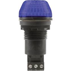 Auer Signalgeräte signální osvětlení LED IBS 800505313 modrá modrá trvalé světlo, blikající světlo 230 V/AC