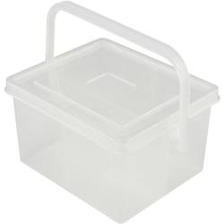 TRU COMPONENTS TC-QBS-400 B203 box na součástky (d x š x v) 135 x 115 x 80 mm přihrádek: 4 pevné rozčlenění Obsah 1 ks