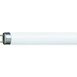 Philips zářivková trubice Energetická třída (EEK2021): G (A - G) G13 18 W denní bílá zářivkový tvar (Ø x d) 26 mm x 600 mm 10 ks