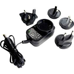 Dehner Elektronik SYS 1121-0624-W2E zásuvkový napájecí adaptér, stálé napětí, stabilizováno , s britským adaptérem, s americkým adaptérem, s australským