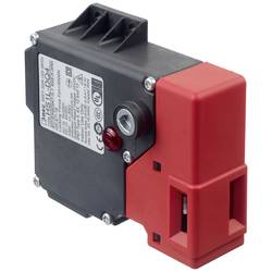 Idec HS1L-DQ44KMSR-R HS1L-DQ44KMSR-R bezpečnostní spínač 250 V, 125 V, 30 V 10 A pružinová aretace IP67 1 ks