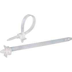 TRU COMPONENTS 1592899, TC-PHV150203, stahovací pásky, 7.90 mm, 150 mm, přírodní, s rozpěrnou kotvou, 100 ks