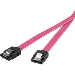Renkforce pevný disk kabel [1x SATA zásuvka 7-pólová - 1x SATA zásuvka 7-pólová] 0.50 m červená