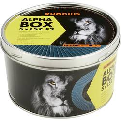 Rhodius 209317 LSZ F2 BOX vějířovitý brusný kotouč Průměr 125 mm Ø otvoru 22.23 mm 5 ks