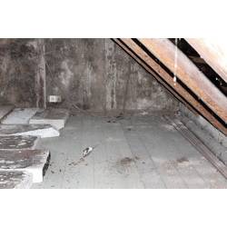 Gardigo 66986DEFR ochrana proti hlodavcům Druh funkce ultrazvuk Rozsah působení 25 m² 1 ks